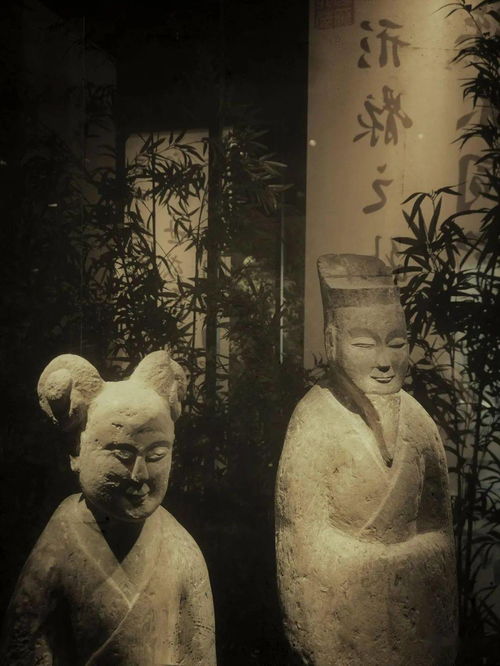 光影诗篇，竹韵新生——南京六朝博物馆的建筑美学与钢筋材料的现代演绎